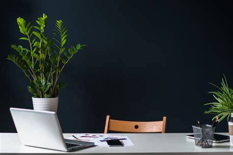 10 Best Desk Plants Guaranteed To Thrive In Your Office Pots Planters