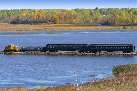 Take This Fall Foliage Train Ride Through Minnesota For A One Of A Kind