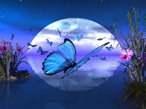 2k Descarga Gratis Mariposa Luna Azul Reflexión Estrellas Cielo
