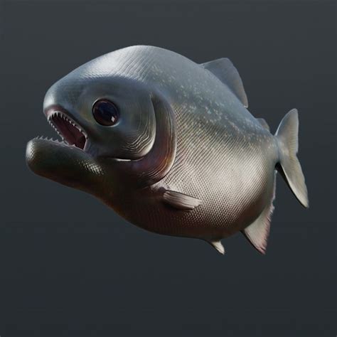 3d Piranha Fish