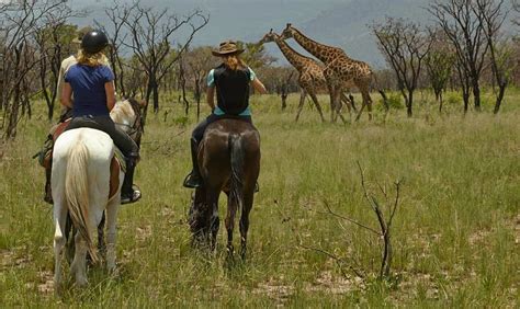 Top 6 Horseback Safaris In Africa Africa Travel