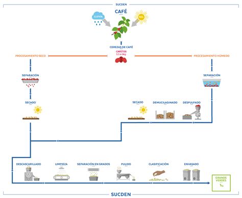 Diagrama De Flujo Del Proceso Café Productos Y Servicios Sucden