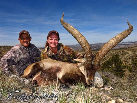 Spanih Big Game Ibex Hunting In Spain