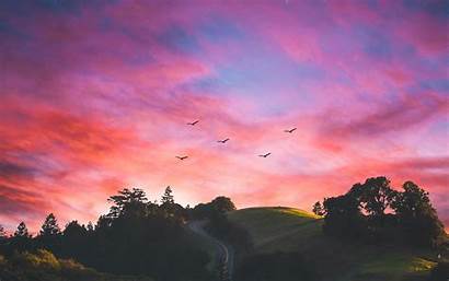 Nature Horizons Wallpapers 4k Sunrise Birds Sunset