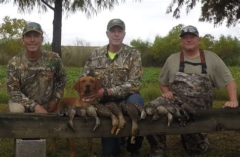 Late Morning Duck Hunt Arkansas Hunting