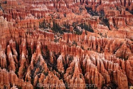 Hoodoos In Bryce Amphitheater Seen From Bryce Point Bryce Canyon