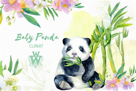 Watercolor Baby Panda Bear Clipart Bamboo Cute Animal Art 210331