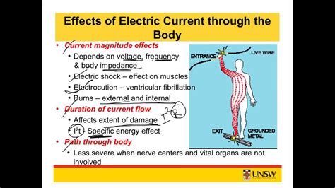 Electricity Electricity Human Body