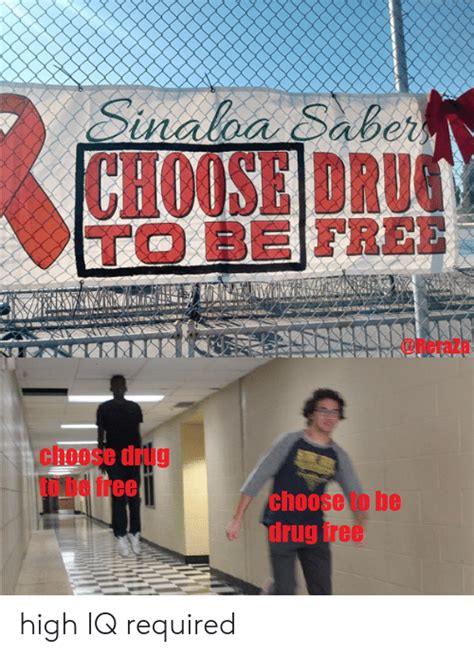 🔥 25 Best Memes About Drug Free Drug Free Memes