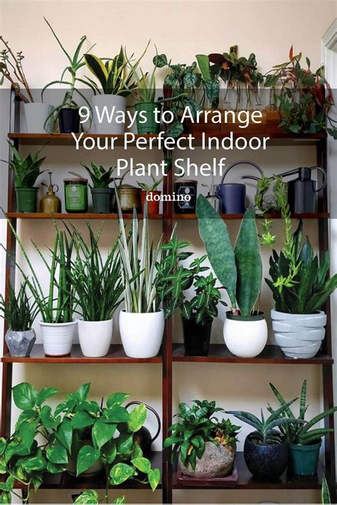 12 Creative Plant Shelf Ideas To Display Your Greenery Indoor Plants