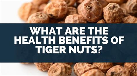 What Are The Health Benefits Of Tiger Nuts