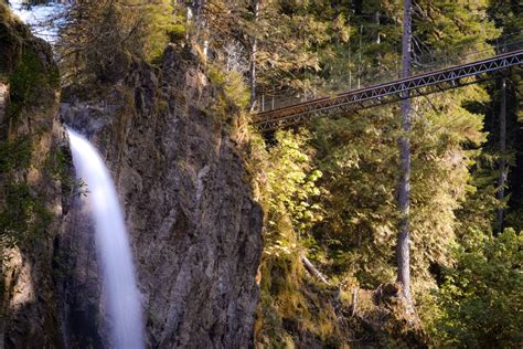Trail Guide Hiking Oregons Drift Creek Falls Trail Reckless Roaming