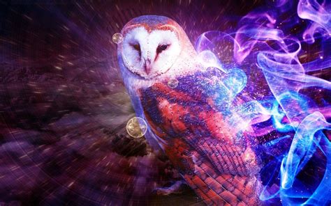 Anime Owl Wallpapers Wallpaper Cave