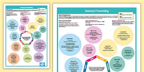 Sensory Processing Disorder Mind Map Send Twinkl