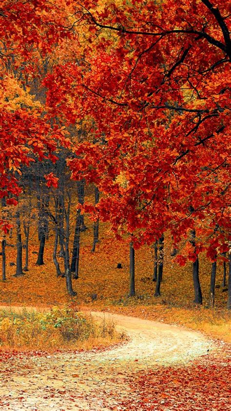 17 Autumn Phone Wallpaper Hd Putri Wallpapers