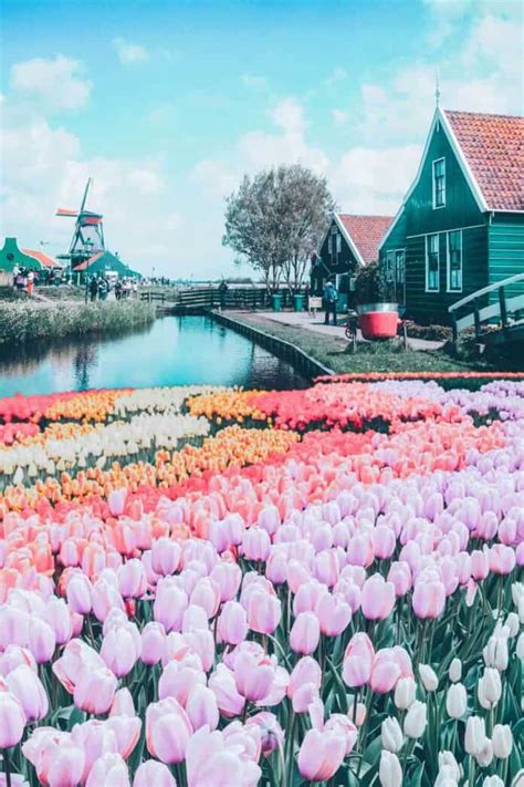 13 Most Beautiful Towns In The Netherlands Avenly Lane Beauty