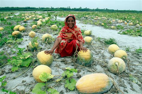 Wallpaper Natural Beauty Of Bangladesh