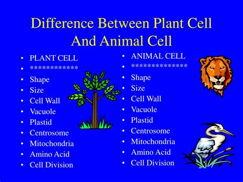 Ppt Difference Between Plant Cell And Animal Cell Powerpoint