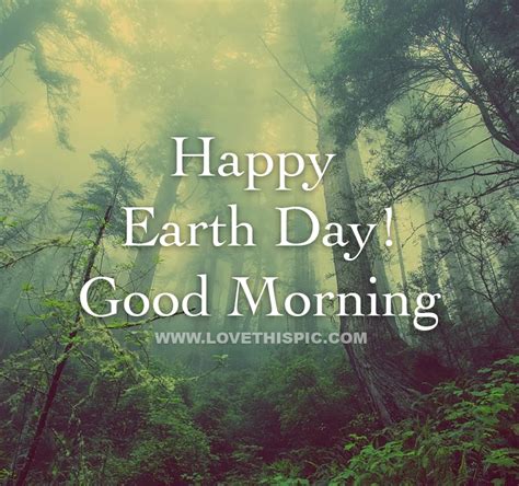 Misty Forest Earth Day Good Morning Pictures Photos And Images For