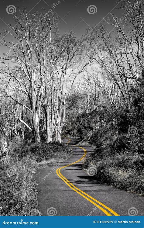 Monochrome Landscape View Of Curvy Road In Selective Color Stock Image