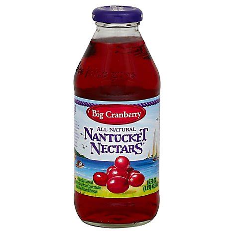 Nantucket Nectars Cranberry - 16 Fl. Oz. - Randalls