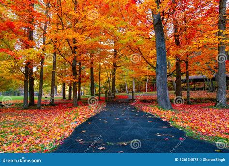 Beautiful Fall Foliage In The Northeast Usa Stock Photo Image Of Lake