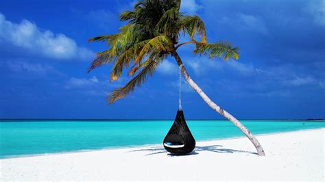 Download Wallpaper 1920x1080 Maldives Palm Beach Relax Rest Ocean