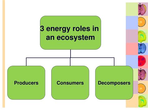 Ppt Energy Roles In Ecosystems Powerpoint Presentation Free Download