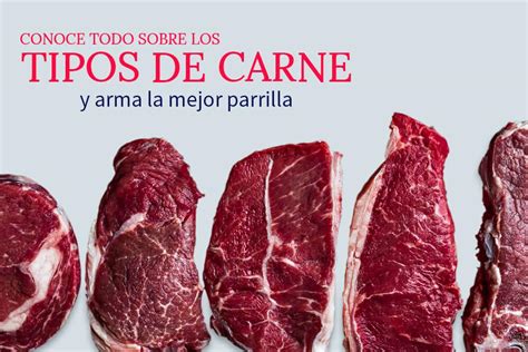 Tipos De Carne De Res Guía Básica De Cortes Aprende Institute