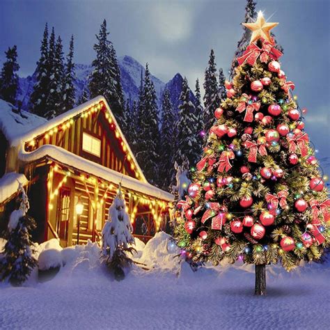 2019 Outdoor Winter Snow Scenery Christmas Village Houses Photography