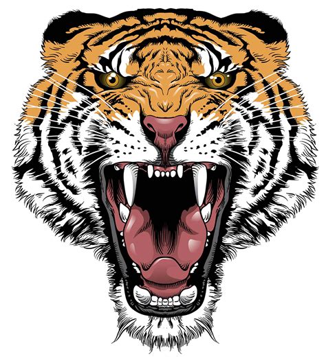 Tiger Roar Png Tiger Face Free Download