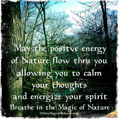 Breathe In The Quiet Magic Of Nature Wiccan Quotes Pinterest