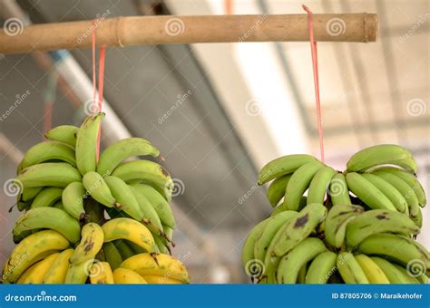 Bundle Of Bananas Hanging At Streetfood Market Stock Photo Image Of