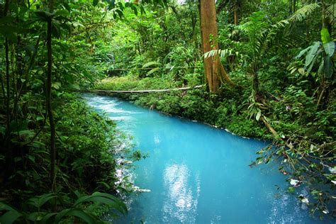 Is Costa Ricas Rio Celeste The Bluest River In The World The Costa