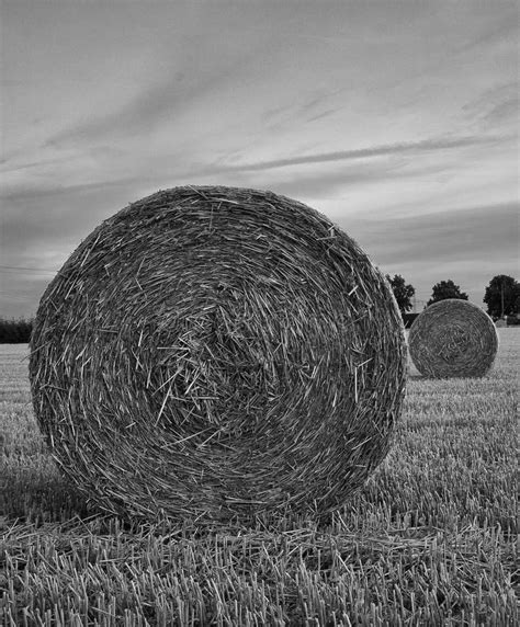 Vertical Black And White Of A Round Hay Bales Captured In A Field Stock