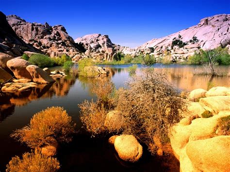 Beautiful Places Around The Globe Joshua Tree National