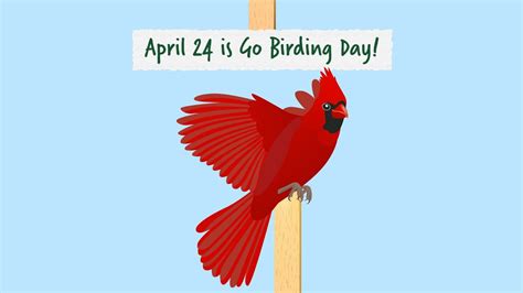 Go Birding Day YouTube
