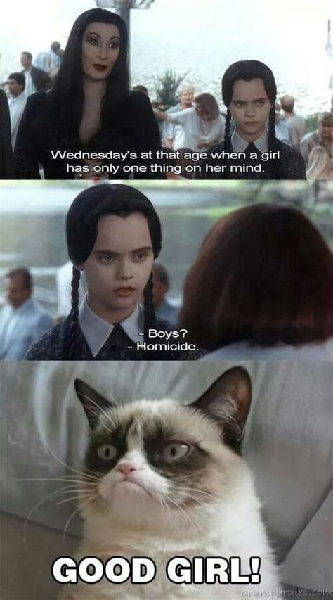 Hilarious Grumpy Cat Memes