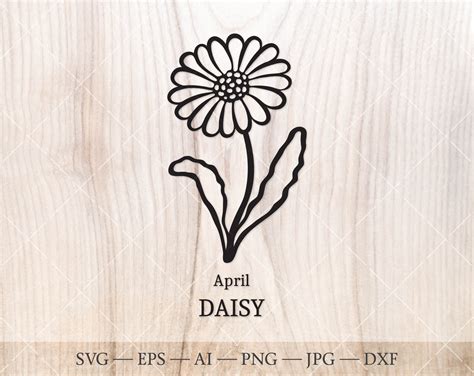 Daisy Svg April Birth Flower Svg Birth Month Flower Drawing Etsy