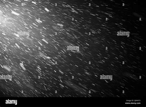 Snowflakes Falling Down On Black Background Heavy Snow Flakes Isolated