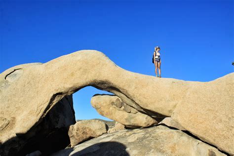 Top 5 Things To See In Joshua Tree National Park Dont Miss In Joshua