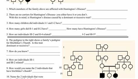Pedigree Worksheet with answer for blog