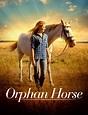 Orphan Horse - Película 2018 - Cine.com