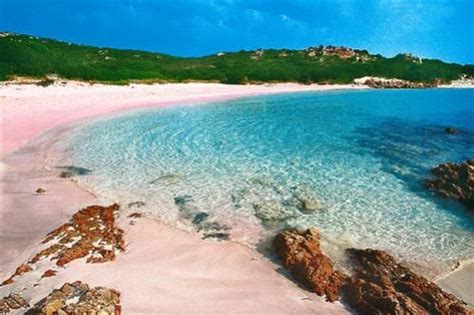Pink Beach La Maddalena Archipelago North East Sardinia The Pink