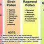 Pollen Allergy And Foods Chart