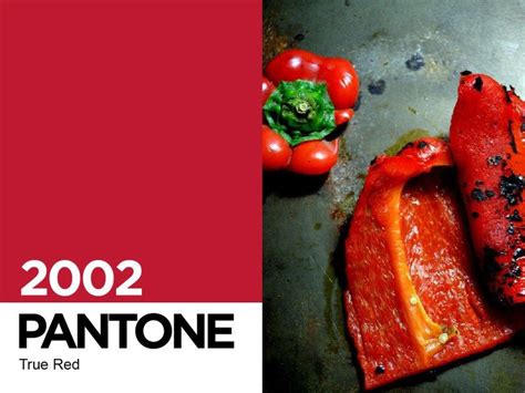 Color Of The Year 2002 Pantone 19 1664 Good House True Red Color Of