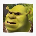 Shrek Meme - IdleMeme