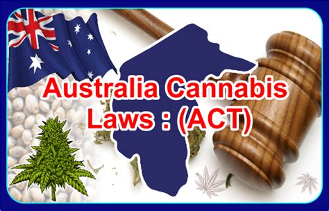 Australia Cannabis Laws The Australian Capital Territory Act
