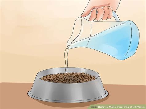 If she doesn't get enough water, nutrients cannot be moved in and out of her cells. How to Make Your Dog Drink Water: 15 Steps (with Pictures)