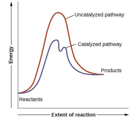 Catalysis · Chemistry